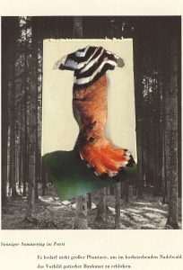 o.T. aus „Endemisches Kollegium“, 2014, 14,9 x 11,5 cm, Collage auf Karton