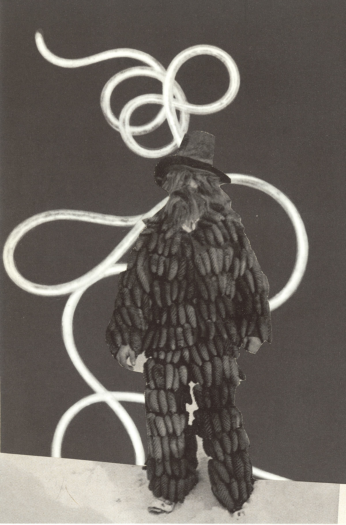 o.T. aus „Endemisches Kollegium“, 2014, 14,9 x 11,5 cm, Collage auf Karton