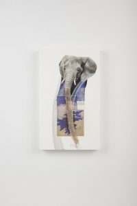 o.T. aus „Petrichor”, 2018, 50 x 30 cm, Mischtechnik, Collage & Schlangenhaut auf Holz