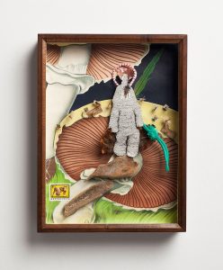 o.T. aus „Petrichor – Alpis”, 2016, 39,8 x 30 x 6,5 cm, diverse Materialien in Schaukasten