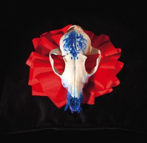 o.T. aus „Soft Skulls”, 2010, Fuchsschädel, diverse Materialien